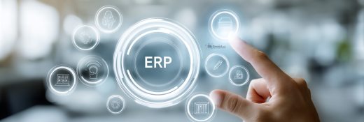 ERP-Schnittstelle im CAFM-System zur Integration von Finanz- und Ressourcenmanagement