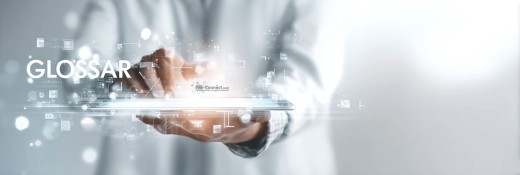 EVB IT CAFM und Cloud Beschaffung strukturieren Vergabeunterlagen und IT Vertragsgrundlagen